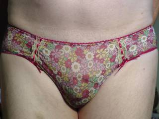 knicker show continued