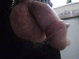 Any one like a play