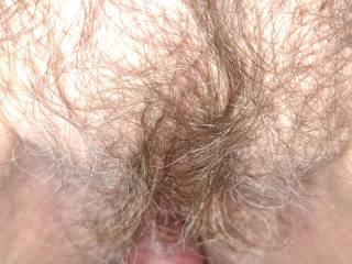 Who likes a hairy one to cum on.