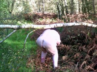 Babs bending below a birch, baring her bum