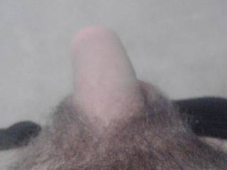 My cock is like me bit of a dick but don't be an asshole or I'll fuck u with it