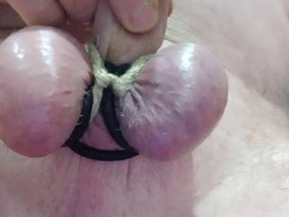 Cock, Ball\'s, Uncut Tied
