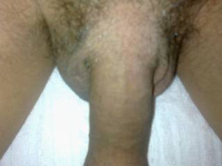 my dick