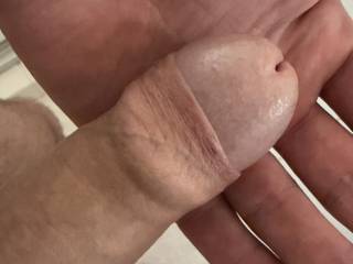 Little softy waiting for excitement