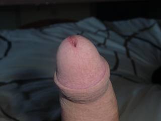 mmm would be nice to wank lick and suck you till you are hard and throbbing then......... well what then? :)