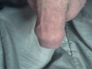 im  sitting her looking at all you sexy people , wanted to show my little cock off