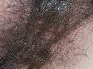 My hairy pussy for you