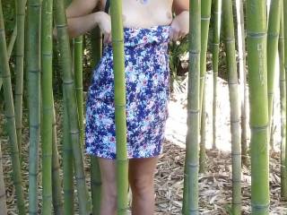 show boobs in bamboo