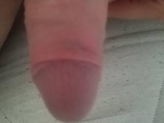 penis