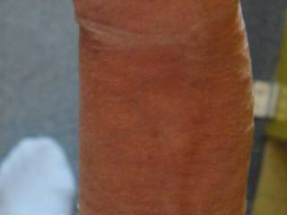 my cock