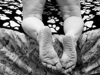 Femme Sexuelle - Noir et Blanc Classique: "Pound My Ass In Front of Hubby"