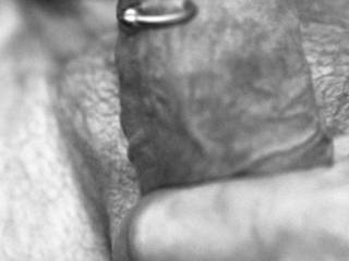 GRITHY,  BONER,  HARD-ON