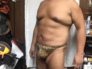 cheetah bikini bulge full body