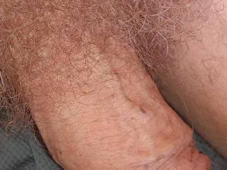 Friend asking me for a peek at my cock