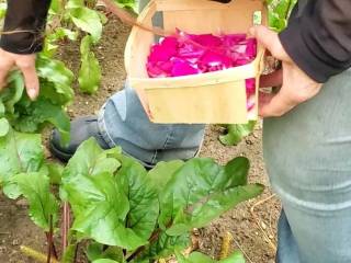 Gardening in see thru lingerie