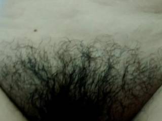 Hairy Filipina bush