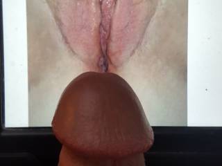 Dick on sexy vagina pic tribute