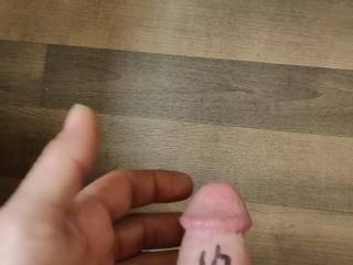 Verify zoig