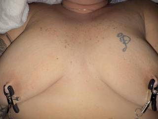 Watching her nipples turn red in clamps