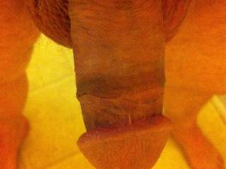 my cock