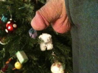 a present front of the christmas tree but for who is this present?