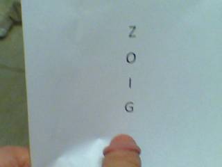 We love Zoig.com