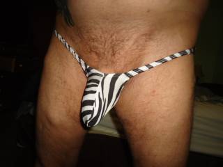 zebra stripes thong