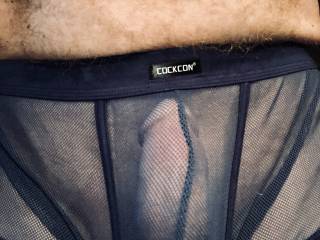 Cock in lingerie