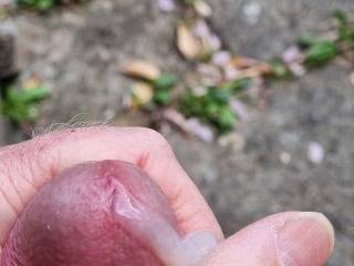 Ejaculating after a nice wank in the garden