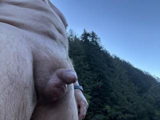 My little guy after getting out of a cold river.