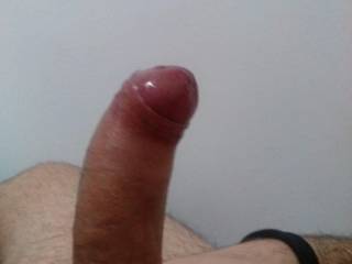 Any girl wanna suck it?