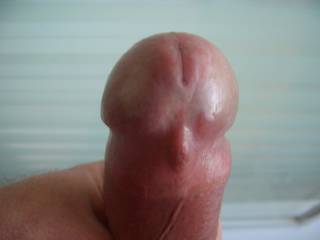 So Horny