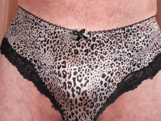 Delicate panties showing off my bulge
