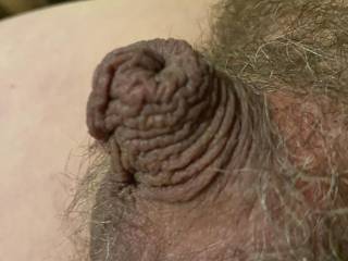 The size of a button right now