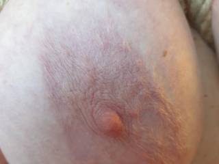 Thats why im called Nips