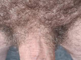 thick semi-erect circumcised cock