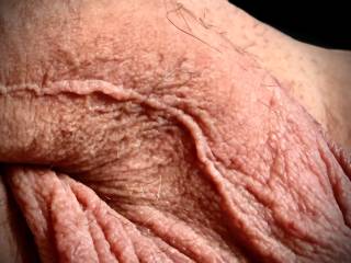 Cock skin close up.
