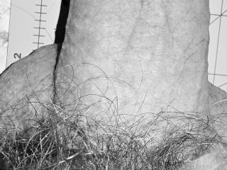 a soft 5 inches