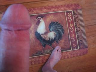 Two cocks.