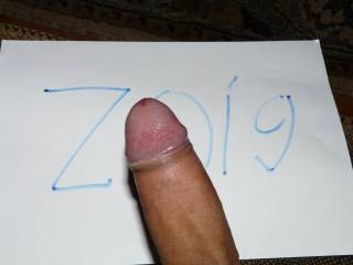 ZOIG.COM