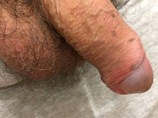 Hairy cock and balls for some lovely girls here...