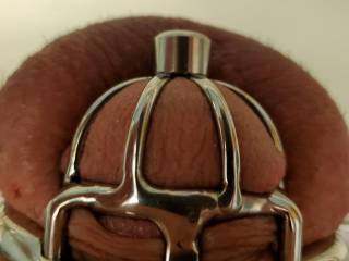 Tiny cage with urethral insert