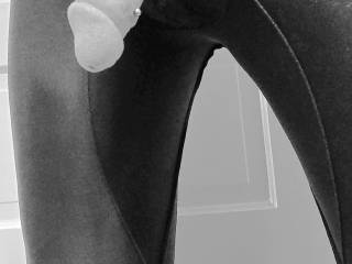 Posing for the Camera