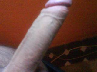 I'm not a shie person. like it?