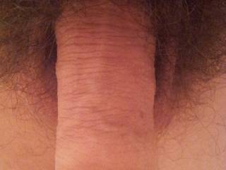 dick