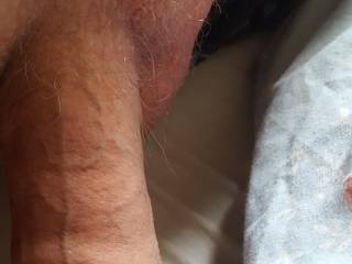 Just lying there. I think I'm gonna shave it again