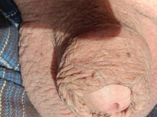 Bored cock need a play mate