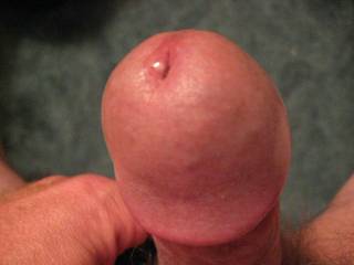 Just the tip with a little glistening pre-cum... Anyone like to lick it off?
