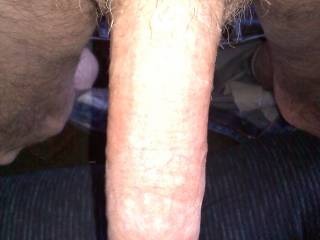 My cock