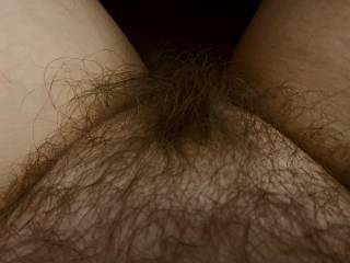 A nice thick bush